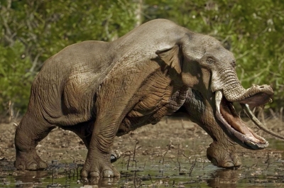 Слонопотамы не вымысел, а научный факт