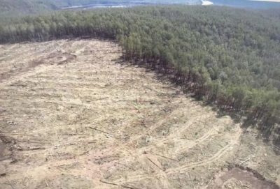 В чём виноват экс-министр Шеверда