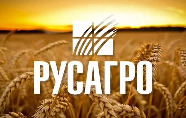 Война Солнечного продукта и Русагро закончилась посадкой Вадима Мошковича