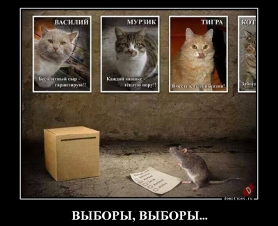 Кто сколько заработал на иркутских выборах?