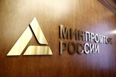Активистка Дарья Полежаева потребовала обнародовать все нюансы смерти Волкодава, &laquo;споткнувшегося&raquo; о Минпромторг