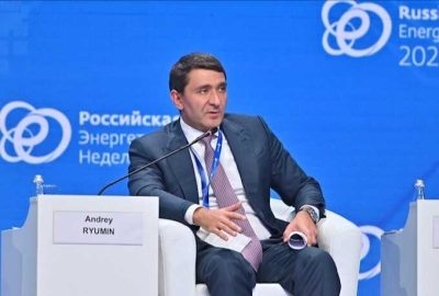 &laquo;Россетям&raquo; платёж не писан, подтвердил председатель СНГ Анатолий Сердюков