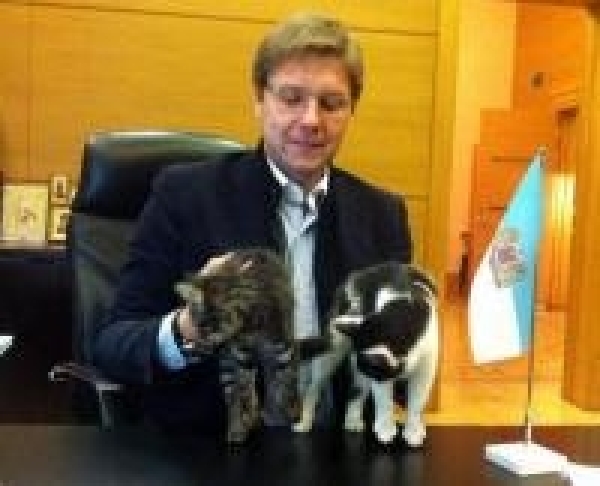 Тайны корреспонденции Нила Ушакова: как Вия Виртмане отстояла улицу Джохара Дудаева