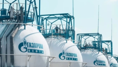 Семья Бердиных владеет 5% группы &laquo;СЕРВИС-ТЕЛЕКОМ&raquo; рядом с Гуриновыми